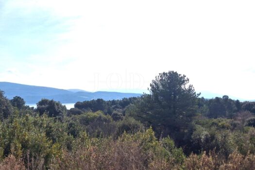 1763400326 643320046 582579 0