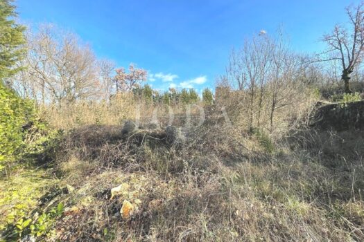 1763406072 1086863194 473994 0