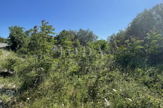 1763419546 1224022905 421246 0