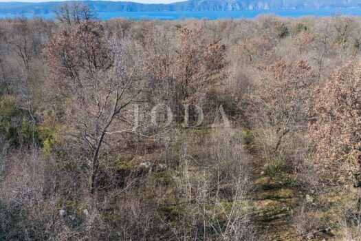 1763420273 421057220 421255 0