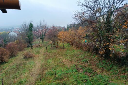 1763656383 img 20251120 094943