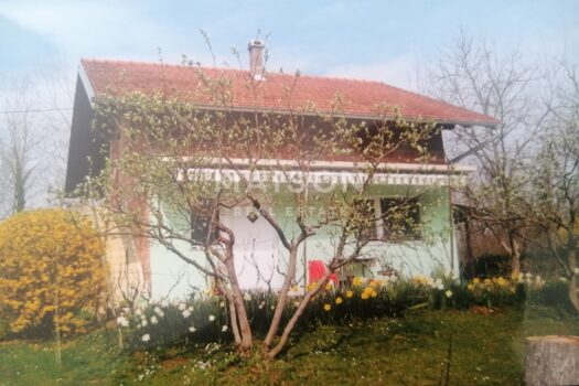 1763982661 img 20240629 134540 edit 6563524363232842