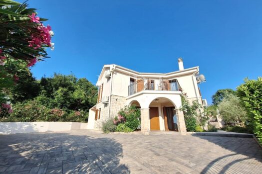 1764213015 781175267 610446 0