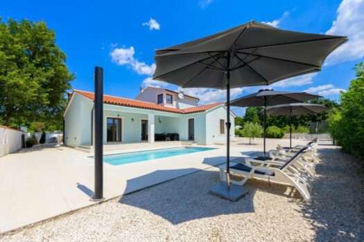 1764267829 718987982