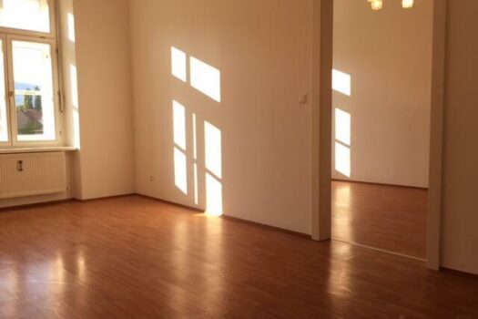 Wohnzimmer mit Blick ins Schlafzimmer