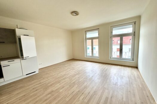 Wohn-Schlafraum mit Küche