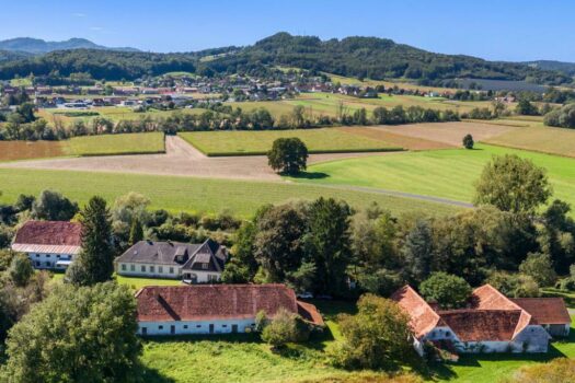 Landwirtschaft Mühle kaufen Feldbach (1)