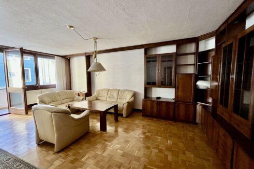 Moderne 4- Raum-Wohnung mit Loggia –voll möbliert - Nähe Gürtelturm- ideale Infrastruktur Wohnzimmer