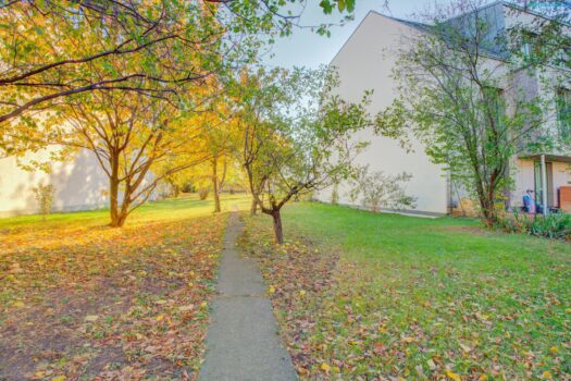 1IplM7AAY4zbpyhy6RThNJ