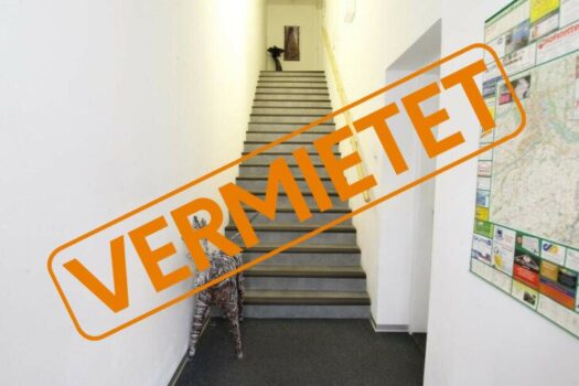 1JhL9QNaOo9wewqXZYXkoG