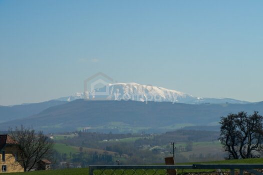 1JjAkVIaMR2RZNRUo2mWUX