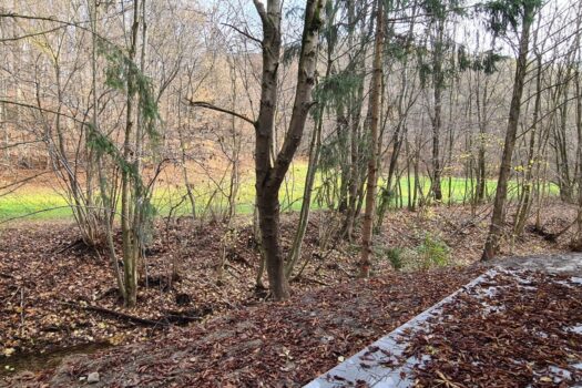 1OH1mUTIian4fatoc3oMTK