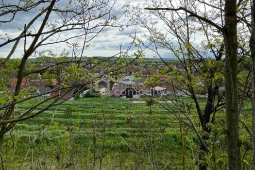 1UkAdDaYmUXc3j8exMN6RX