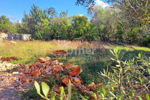 1X7iwYQbzQ3pRU88gAnbnd 1