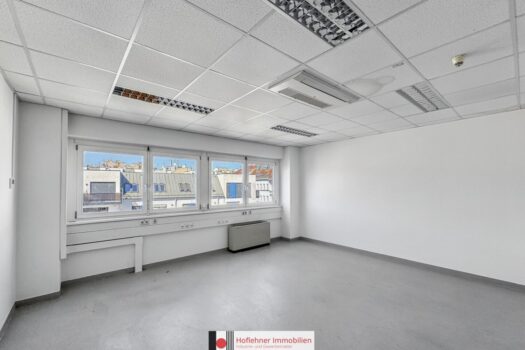 1Zg8WVA55xuVOr8zy4WosT