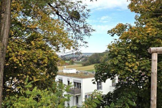 1al6ITTyCCsmiEqQNFd19p 1