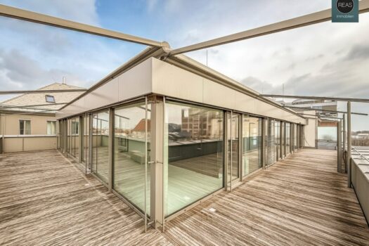 1ghQ4S3Nb5ypLUM8cIIhXG