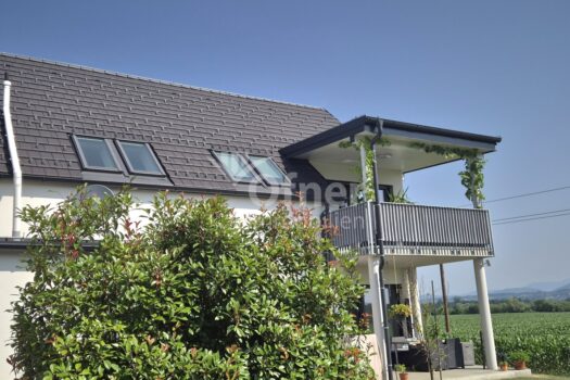 1lCdzNWY2ZOivkjf6EvOZZ