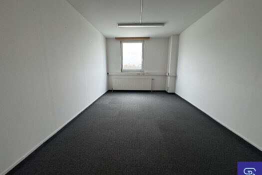 1lg4ngRRjMbWOCsDTUx95S