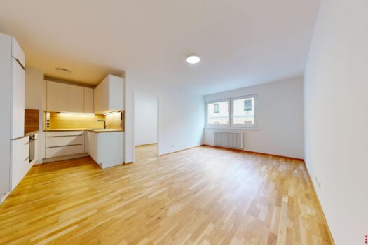 ERSTBEZUG nach Sanierung I 66m² in zentraler Innenstadtlage I Tischler Einbauküche inkl. Siemensgeräte im Preis inbegriffen Wohn/-Esszimmer