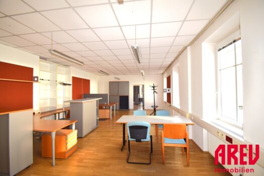 1qLhsoiivza41nTrenobxy