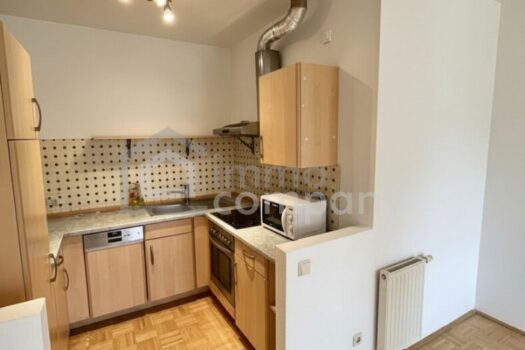 1qQNdXuf9qvwv0IlD4GADz