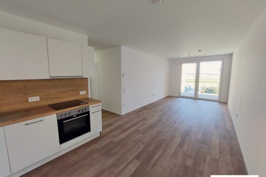 1sfcqXuTpkrGmu0mqUwLTQ