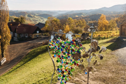 Neussl Eorykogel Liegenschaft 10 2025-19