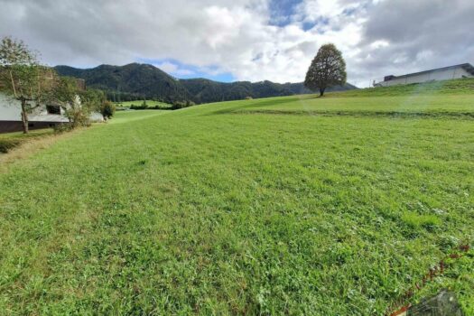 9ca59113-4f8a-4607-9165-533317bf05d4