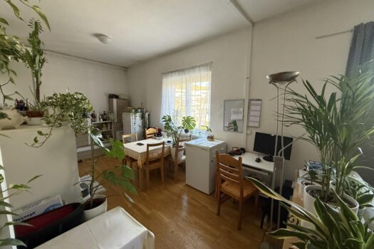 20251104_115722667_iOS