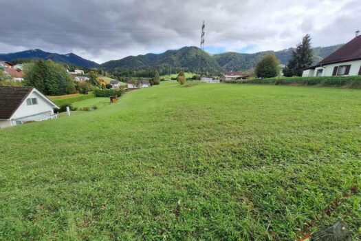 6265 m2 Eigengrund! Kein Bauzwang! Ruhelage und Aussicht! c145add7-1e69-4191-afa7-52d91a3e8ced