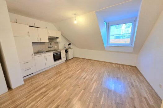 Anleger aufgepasst! Zentrale und ruhige Wohnung! Wohnküche