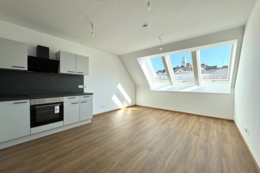 Dachgeschossausbau mit Terrasse & Klimaanlage - Erstbezug - UNBEFRISTETE Mietdauer 26GxnHrR3WEM4UsB0oS0i4