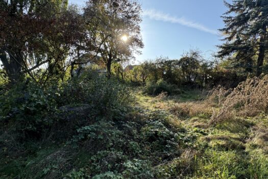 29AulaRLmWJlRx19DkC1jJ