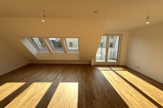 2CzMk9bzDZkuUIBkuLhayz