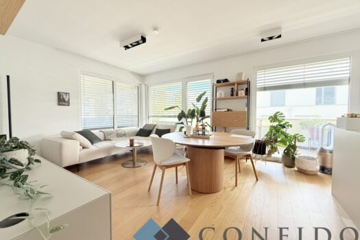 Hochwertig und modern - Traumhafte 3 Zimmerwohnung in bester Lage Badens - Stellplatz inklusive Wohnküche