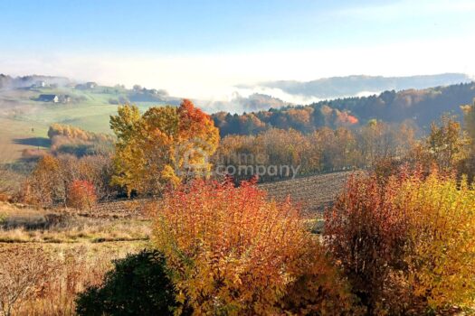 2UyiL9DVjkAhz19kS0clVD 1