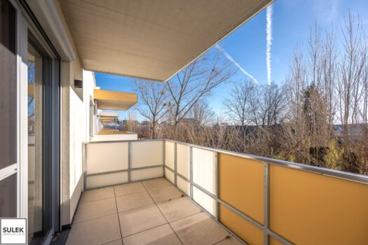 2YYCSBf1wGQbSyMRNbCmH1