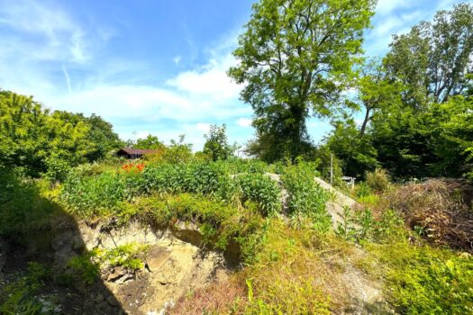 2acwkZDwBKMsr8Vxmh2Bpz