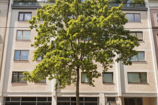 2dde2rIxlCZ7PiITTzvMmA