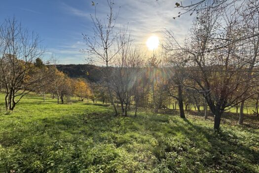 2h4CQMJDe0CITZbR9GBR8u