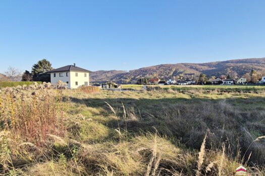 2pbTXRF03hDPIAaxTnrK2