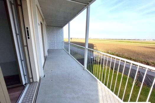 2rhdCD8r0MitTCekNtbp3e