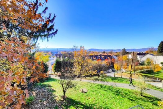 Rarität in St. Peter: Großes Baugrundstück Dichte 0,2 – 0,3 mit Altbestand. 2sNn95sXg3M5zcN7XcLyCe
