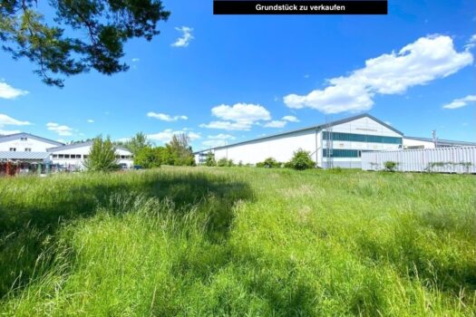 31mA2yGhiIrfcf6Jrg54vj