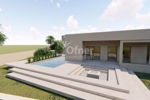 3APQvxNRK9WUzFvru41aNa