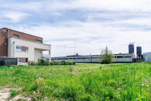 3ARq2JMTFbiOY7uVOXplCf