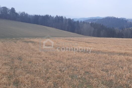 3AatWp8EvN0LiMadAaWl8T