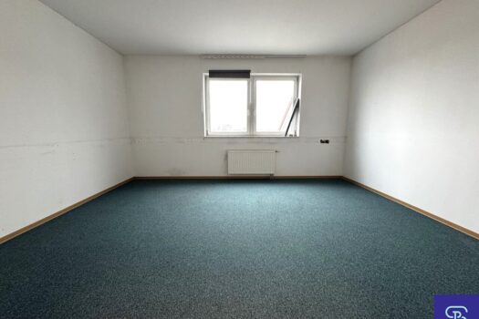 3EStoDLzn092hsNeWCgpkp