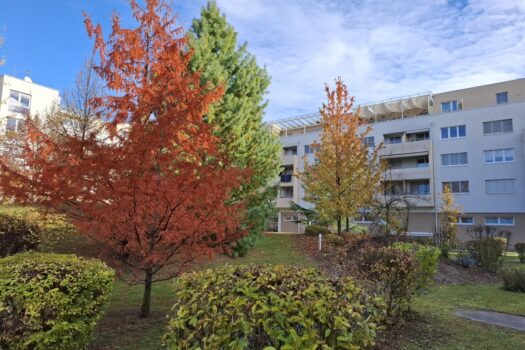 3KMaBDs0gupR1DklAdxbZC